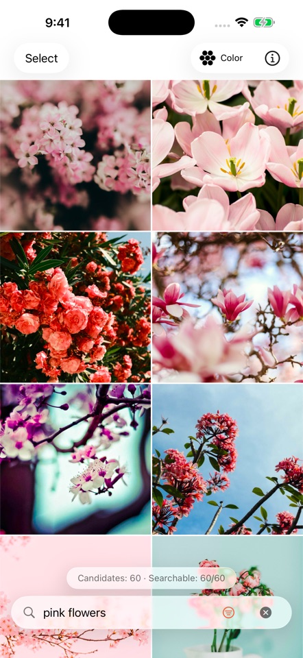 PhotoFind in English showing photo results for pink flowers
