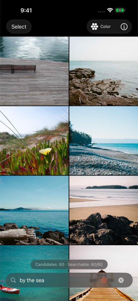 PhotoFind English interface in dark appearance